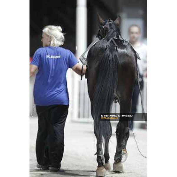 Pitango Jet returns home after winning the race Milano - San Siro trot racecourse, 30th june 2012 ph.Stefano Grasso