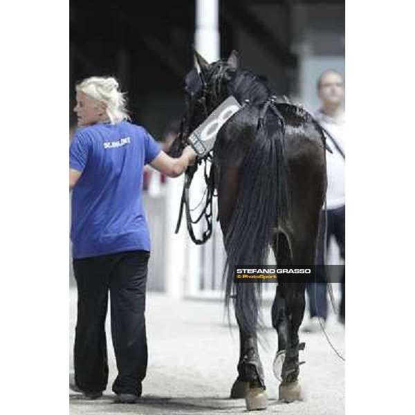 Pitango Jet returns home after winning the race Milano - San Siro trot racecourse, 30th june 2012 ph.Stefano Grasso