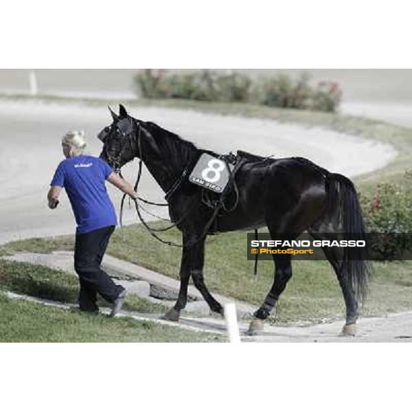 Pitango Jet returns home after winning the race Milano - San Siro trot racecourse, 30th june 2012 ph.Stefano Grasso