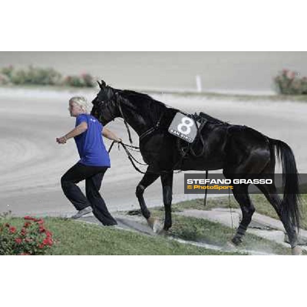 Pitango Jet returns home after winning the race Milano - San Siro trot racecourse, 30th june 2012 ph.Stefano Grasso