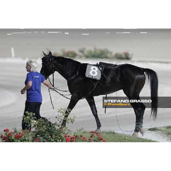 Pitango Jet returns home after winning the race Milano - San Siro trot racecourse, 30th june 2012 ph.Stefano Grasso