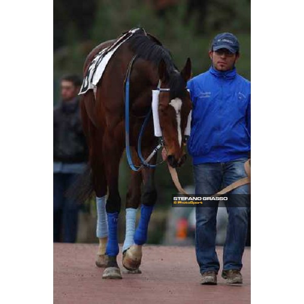 Blu Santillana and his groom winners of 55.a Gran Corsa Siepi di Roma Rome Capannelle, 20th february 2005 ph. Stefano Grasso