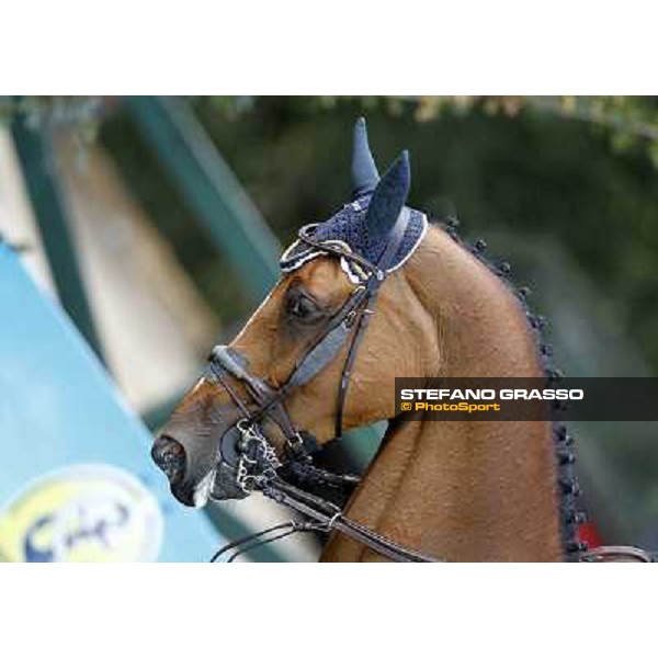 Wivina Italian Senior Championships 2012 Arezzo, 14th july 2012 ph.Stefano Grasso