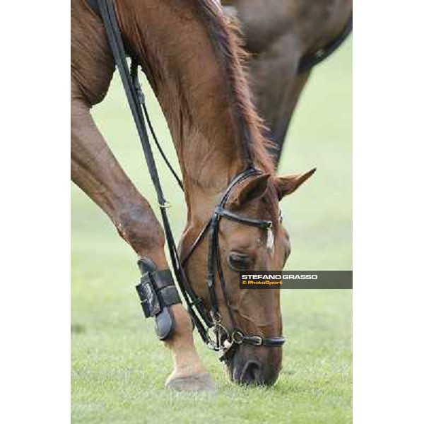 Fixdesign Almero 12 Italian Senior Championships 2012 Arezzo, 14th july 2012 ph.Stefano Grasso
