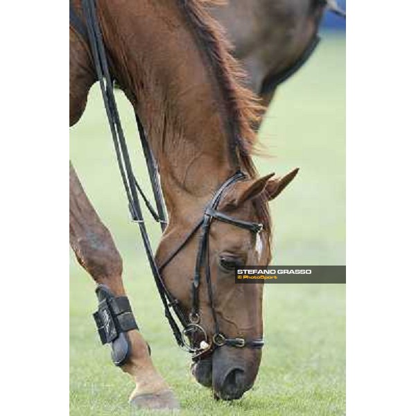 Fixdesign Almero 12 Italian Senior Championships 2012 Arezzo, 14th july 2012 ph.Stefano Grasso