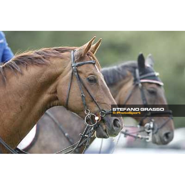 Fixdesign Almero 12 Italian Senior Championships 2012 Arezzo, 14th july 2012 ph.Stefano Grasso