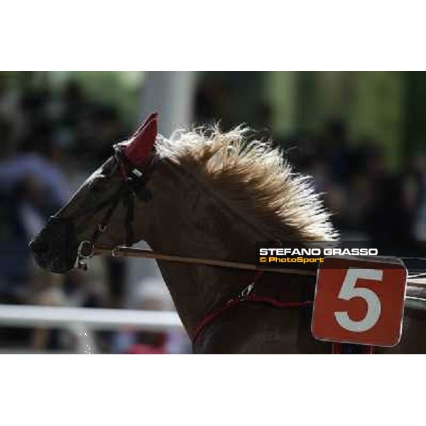 Racing 78° Campionato Europeo Cesena, 1st sept.2012 ph.Stefano Grasso