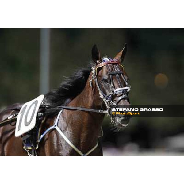 Roberto Andreghetti and Mack Grace Sm 78° Campionato Europeo Cesena, 1st sept.2012 ph.Stefano Grasso