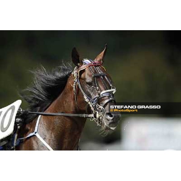 Roberto Andreghetti and Mack Grace Sm 78° Campionato Europeo Cesena, 1st sept.2012 ph.Stefano Grasso