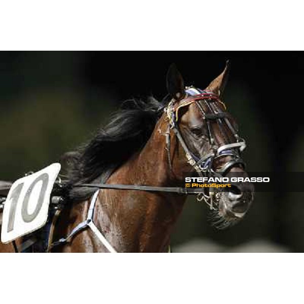 Roberto Andreghetti and Mack Grace Sm 78° Campionato Europeo Cesena, 1st sept.2012 ph.Stefano Grasso