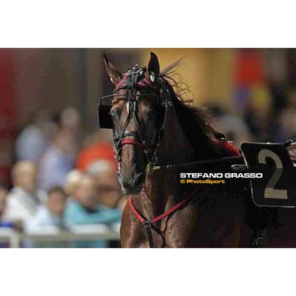 Looney Tunes 78° Campionato Europeo Cesena, 1st sept.2012 ph.Stefano Grasso