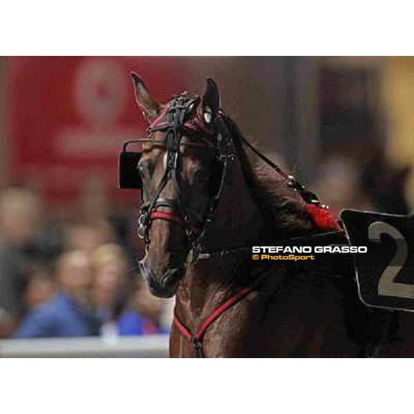 Looney Tunes 78° Campionato Europeo Cesena, 1st sept.2012 ph.Stefano Grasso