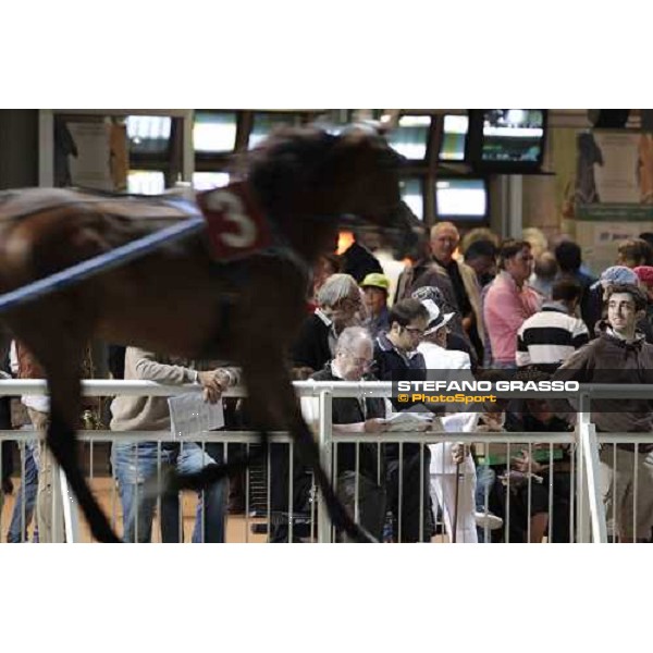Racegoers at Cesena 78° Campionato Europeo Cesena, 1st sept.2012 ph.Stefano Grasso