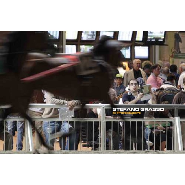 Racegoers at Cesena 78° Campionato Europeo Cesena, 1st sept.2012 ph.Stefano Grasso