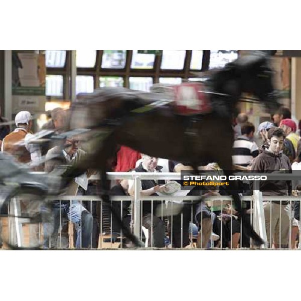 Racegoers at Cesena 78° Campionato Europeo Cesena, 1st sept.2012 ph.Stefano Grasso