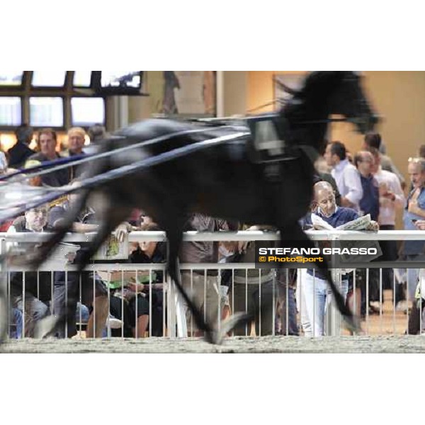 Racegoers at Cesena 78° Campionato Europeo Cesena, 1st sept.2012 ph.Stefano Grasso