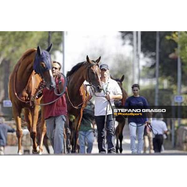 Quiza Quiza Quiza Roma, Capannelle racecourse, 9th sept. 2012 ph.Stefano Grasso