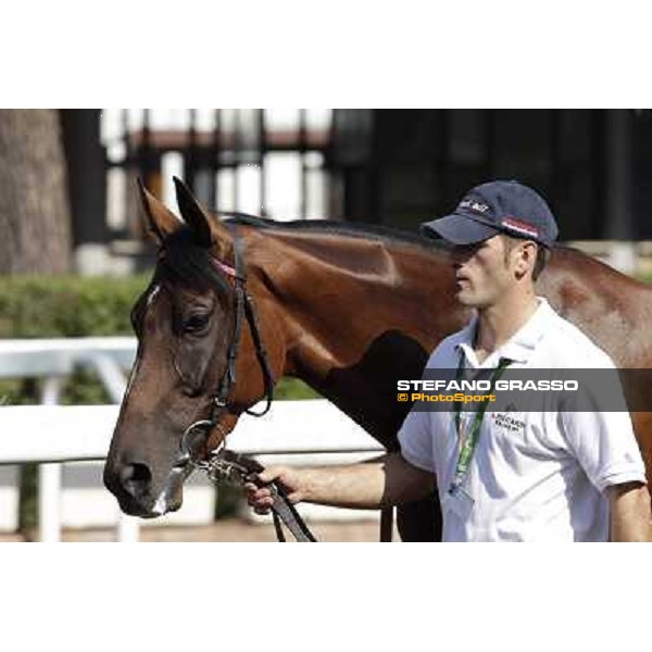 Quiza Quiza Quiza Roma, Capannelle racecourse, 9th sept. 2012 ph.Stefano Grasso