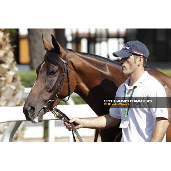 Quiza Quiza Quiza Roma, Capannelle racecourse, 9th sept. 2012 ph.Stefano Grasso