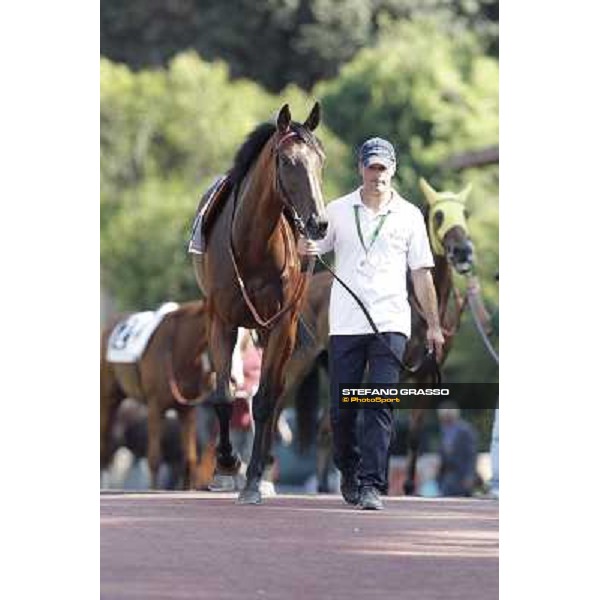 Quiza Quiza Quiza Roma, Capannelle racecourse, 9th sept. 2012 ph.Stefano Grasso