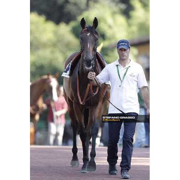 Quiza Quiza Quiza Roma, Capannelle racecourse, 9th sept. 2012 ph.Stefano Grasso