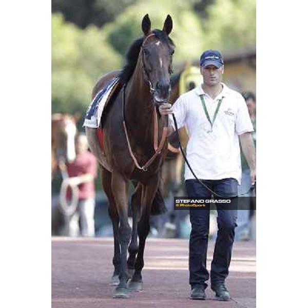 Quiza Quiza Quiza Roma, Capannelle racecourse, 9th sept. 2012 ph.Stefano Grasso