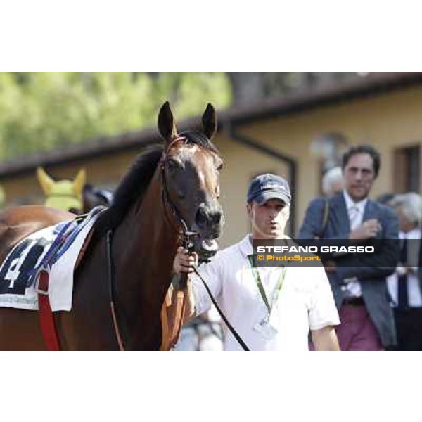 Quiza Quiza Quiza and Riccardo Cantoni Roma, Capannelle racecourse, 9th sept. 2012 ph.Stefano Grasso