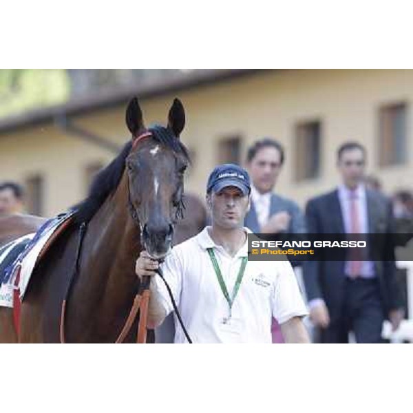 Quiza Quiza Quiza, Riccardo Cantoni and Luigi Riccardi Roma, Capannelle racecourse, 9th sept. 2012 ph.Stefano Grasso