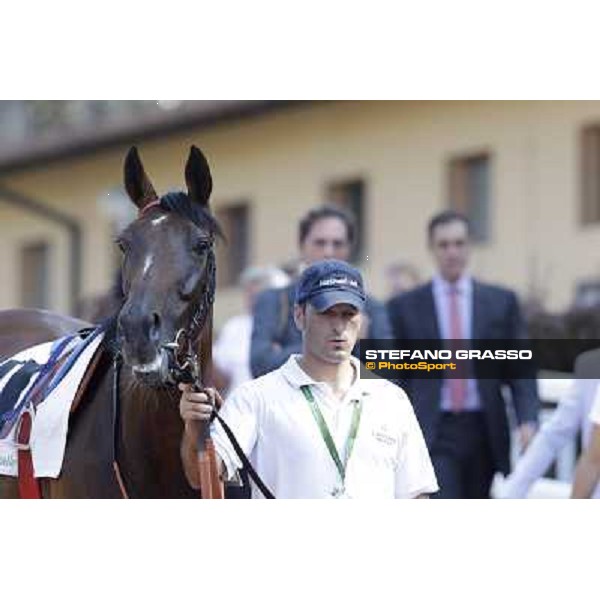 Quiza Quiza Quiza, Riccardo Cantoni and Luigi Riccardi Roma, Capannelle racecourse, 9th sept. 2012 ph.Stefano Grasso