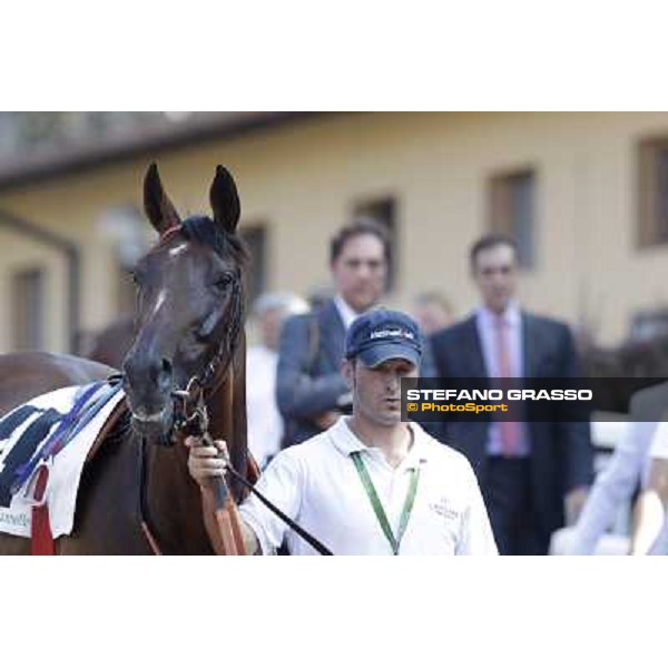 Quiza Quiza Quiza, Riccardo Cantoni and Luigi Riccardi Roma, Capannelle racecourse, 9th sept. 2012 ph.Stefano Grasso