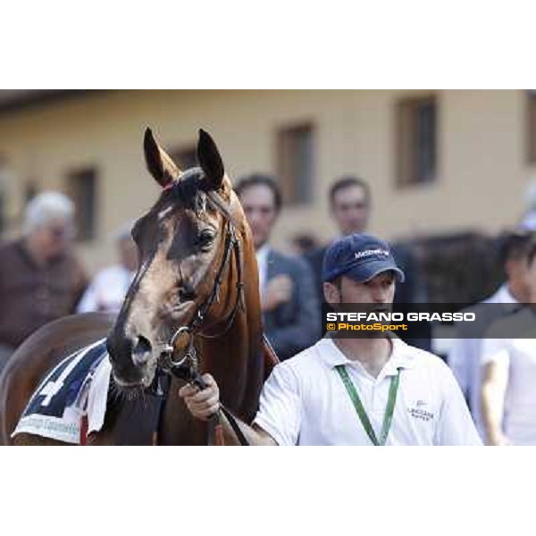 Quiza Quiza Quiza, Riccardo Cantoni and Luigi Riccardi Roma, Capannelle racecourse, 9th sept. 2012 ph.Stefano Grasso