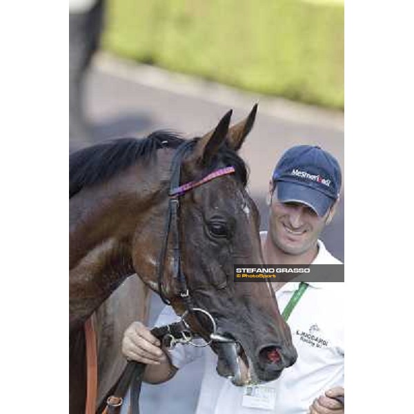 Quiza Quiza Quiza Roma, Capannelle racecourse, 9th sept. 2012 ph.Stefano Grasso