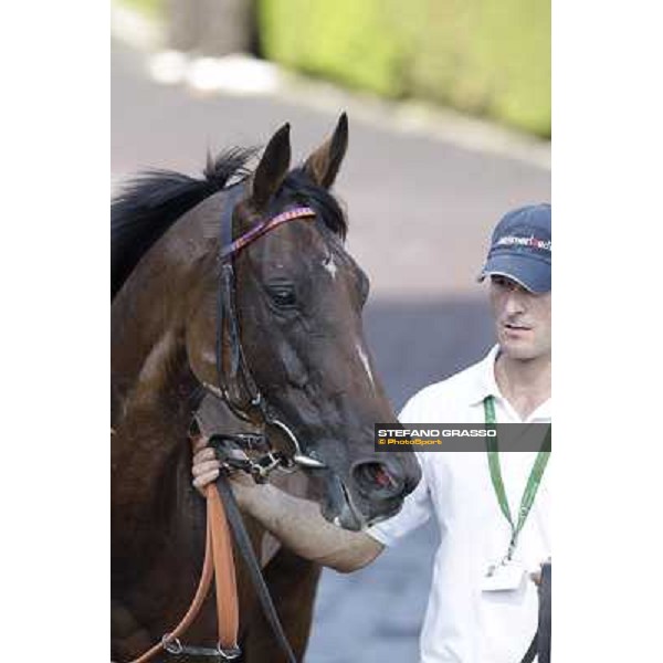 Quiza Quiza Quiza Roma, Capannelle racecourse, 9th sept. 2012 ph.Stefano Grasso