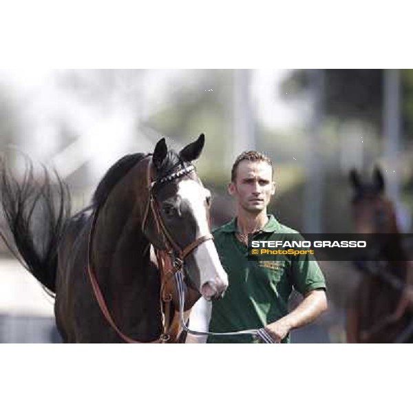 Vedelago Roma, Capannelle racecourse, 9th sept. 2012 ph.Stefano Grasso