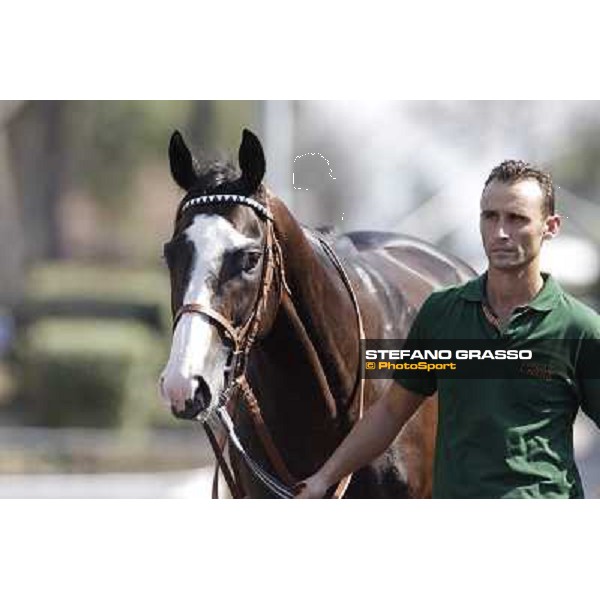 Vedelago Roma, Capannelle racecourse, 9th sept. 2012 ph.Stefano Grasso