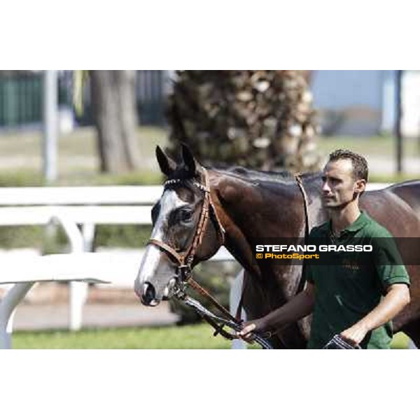 Vedelago Roma, Capannelle racecourse, 9th sept. 2012 ph.Stefano Grasso