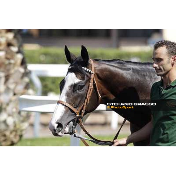 Vedelago Roma, Capannelle racecourse, 9th sept. 2012 ph.Stefano Grasso