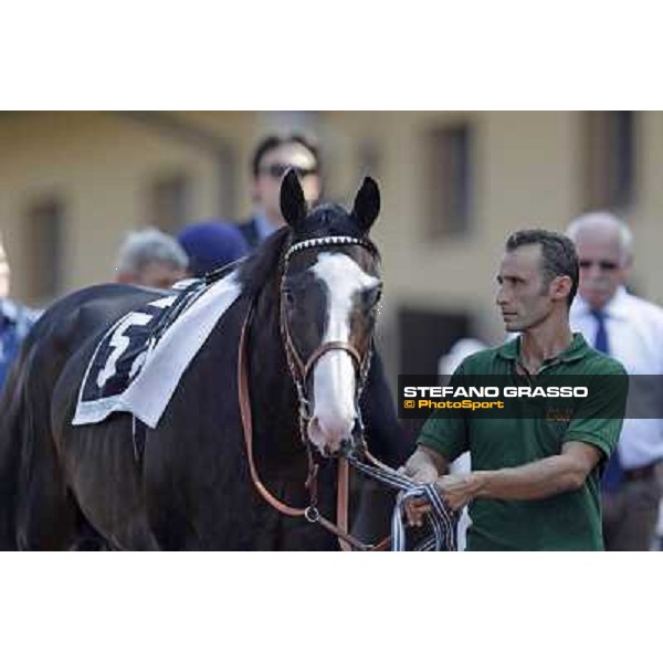 Vedelago and Giampiero Brotto Roma, Capannelle racecourse, 9th sept. 2012 ph.Stefano Grasso