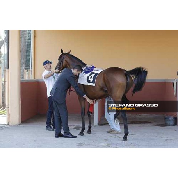 Quiza Quiza Quiza and Luigi Riccardi before winning the Premio Festuca Roma, Capannelle racecourse, 9th sept. 2012 ph.Stefano Grasso