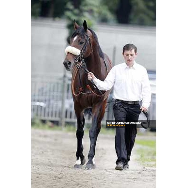 Orsino winner of the Premio Federico Tesio Milan, San Siro racecourse, 23rd sept.2012 ph.Stefano Grasso
