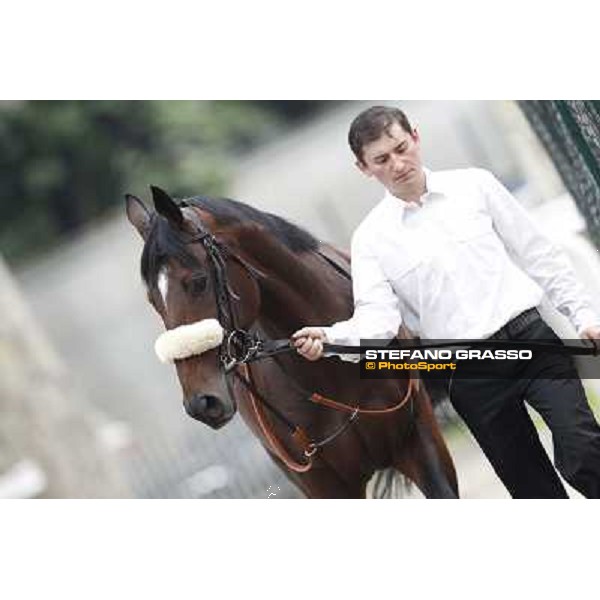 Orsino winner of the Premio Federico Tesio Milan, San Siro racecourse, 23rd sept.2012 ph.Stefano Grasso