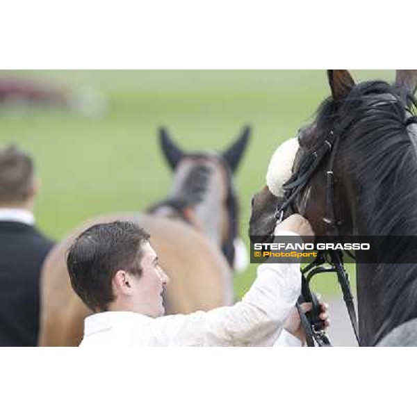 Orsino winner of the Premio Federico Tesio Milan, San Siro racecourse, 23rd sept.2012 ph.Stefano Grasso