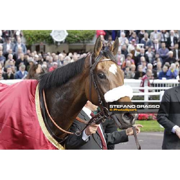 Olivier Peslier on Solemia wins the Qatar Prix de L\'Arc de Triomphe beating Christophe Soumillon on Orfevre Paris - Longchamp racecourse 7th oct..2012 ph.Stefano Grasso