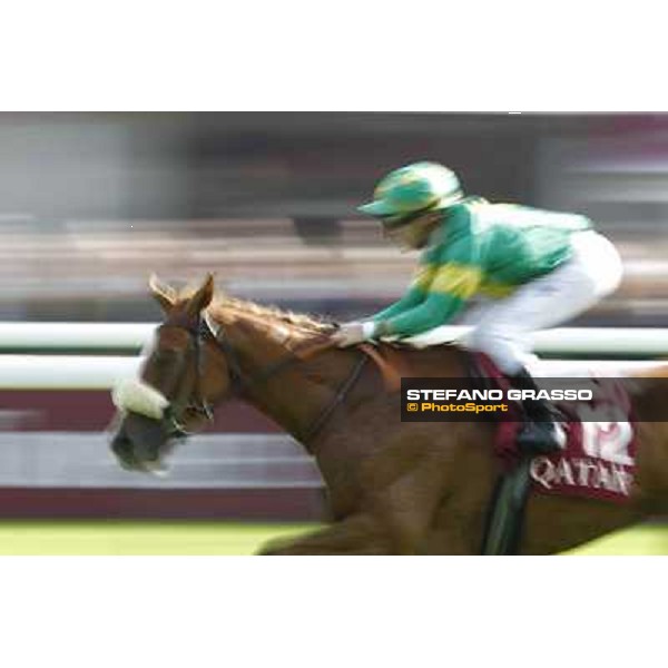 Paris - Longchamp racecourse - Racing Paris, 7th oct.2012 ph.Stefano Grasso