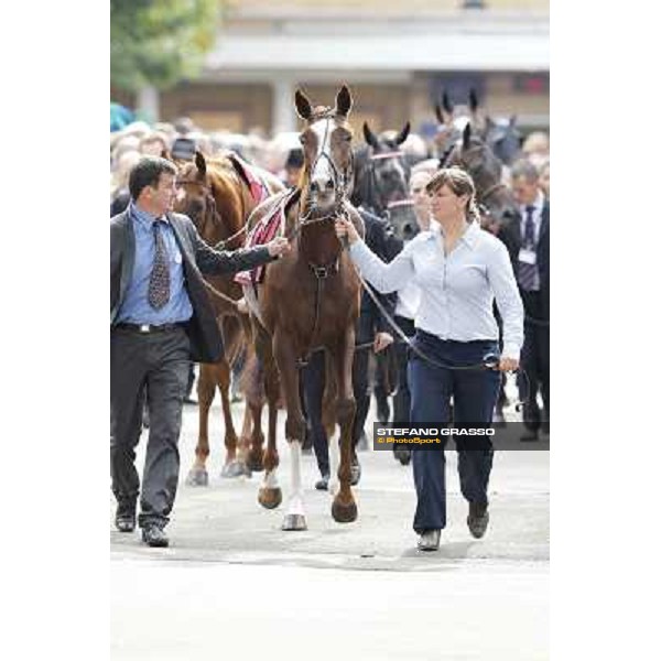 Paris - Longchamp racecourse - Horse before Prix de l\'Opera Longines Paris, 7th oct.2012 ph.Stefano Grasso