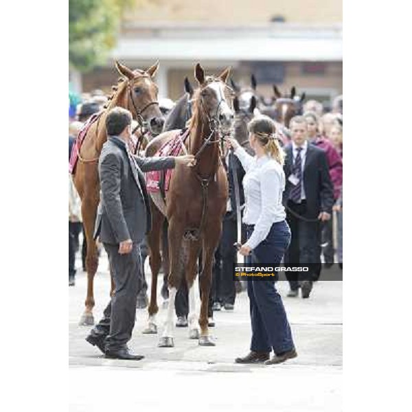 Paris - Longchamp racecourse - Horse before Prix de l\'Opera Longines Paris, 7th oct.2012 ph.Stefano Grasso