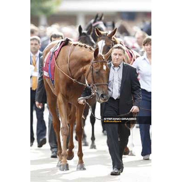 Paris - Longchamp racecourse - Horse before Prix de l\'Opera Longines Paris, 7th oct.2012 ph.Stefano Grasso