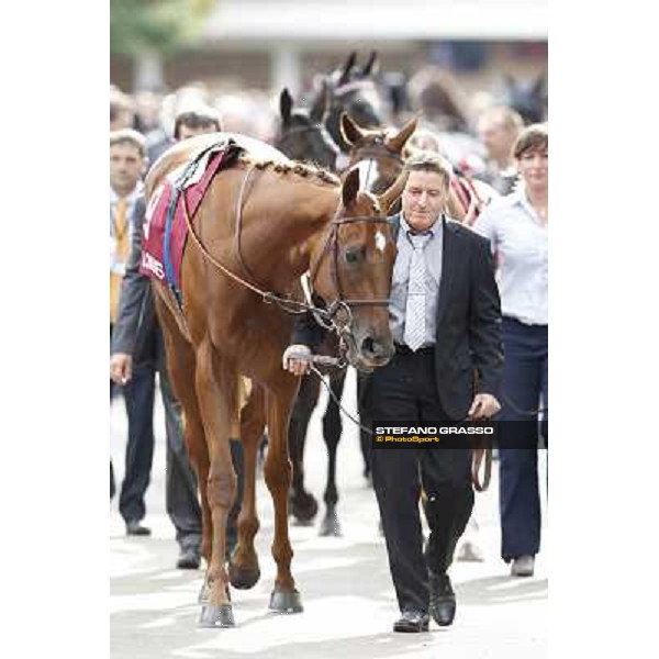 Paris - Longchamp racecourse - Horse before Prix de l\'Opera Longines Paris, 7th oct.2012 ph.Stefano Grasso