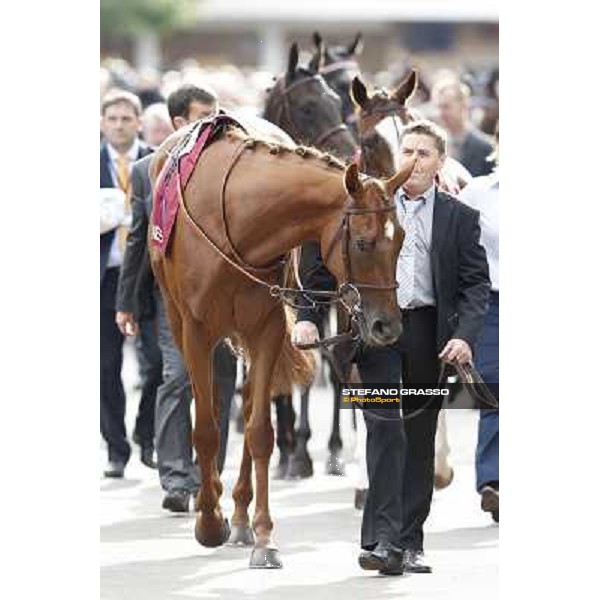 Paris - Longchamp racecourse - Horse before Prix de l\'Opera Longines Paris, 7th oct.2012 ph.Stefano Grasso