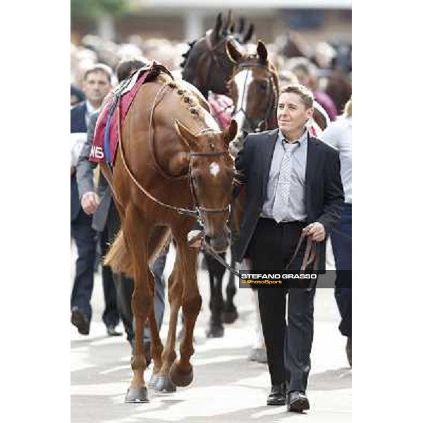 Paris - Longchamp racecourse - Horse before Prix de l\'Opera Longines Paris, 7th oct.2012 ph.Stefano Grasso